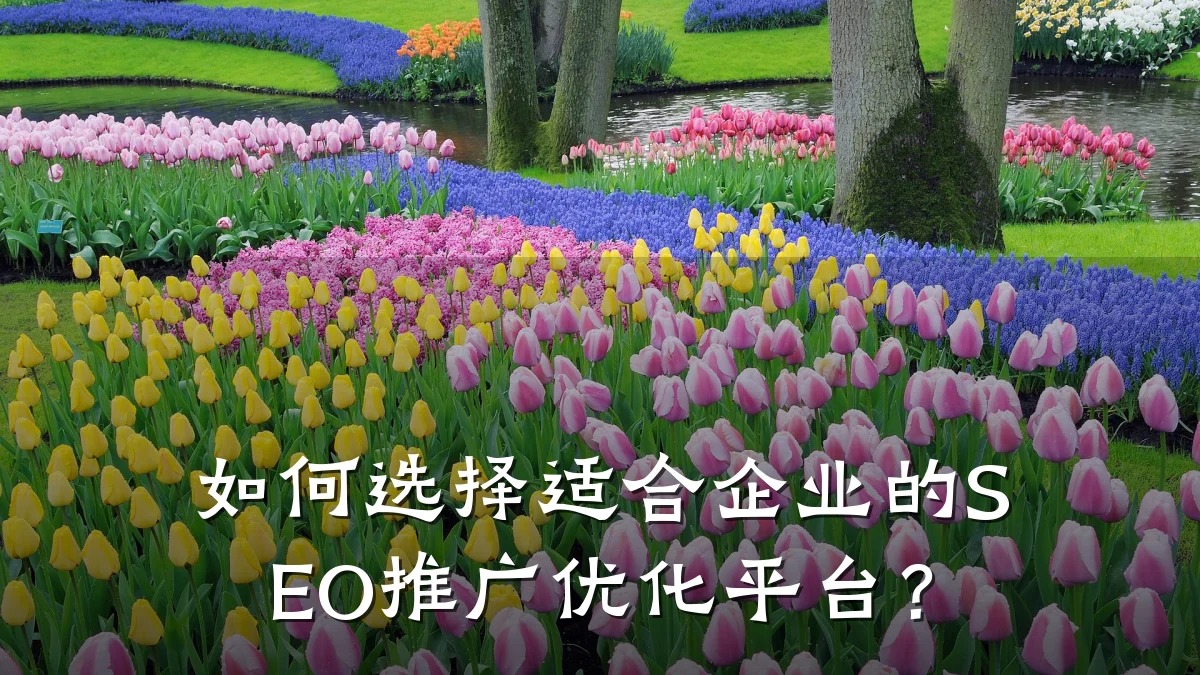 如何选择适合企业的SEO推广优化平台?