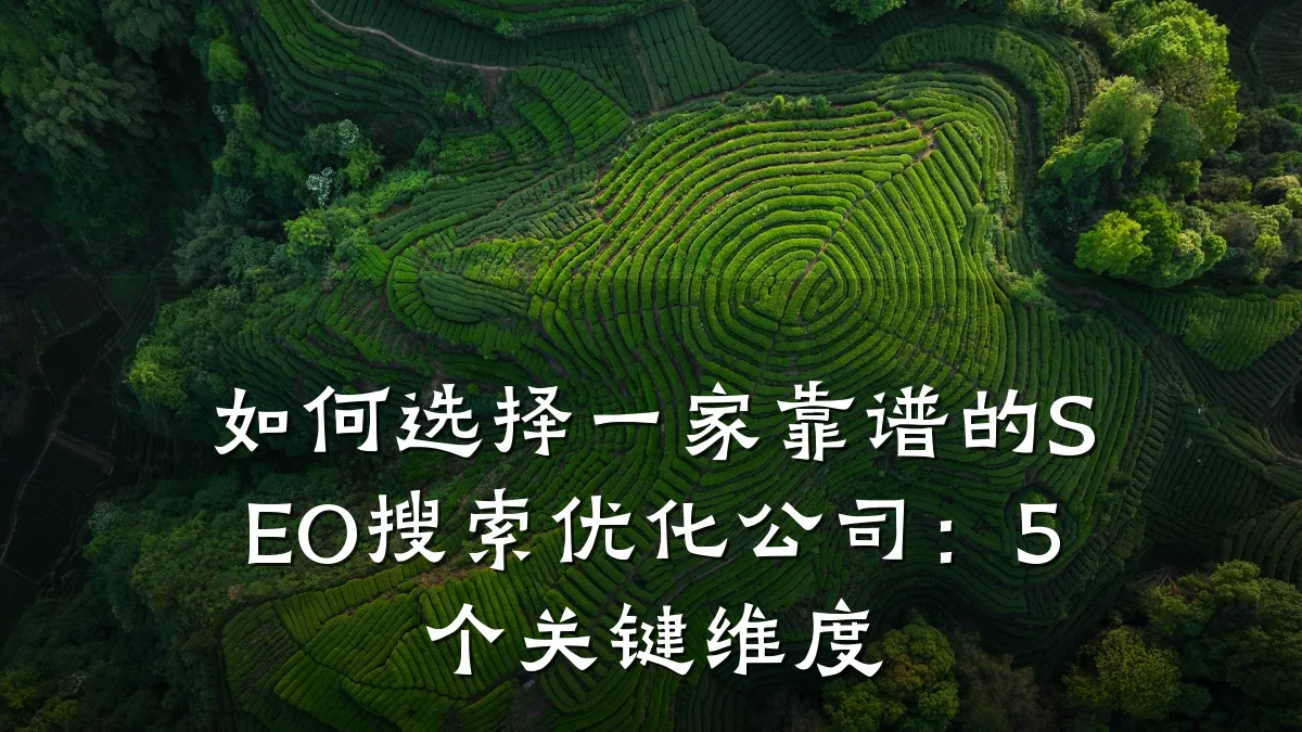 如何选择一家靠谱的SEO搜索优化公司:5个关键维度