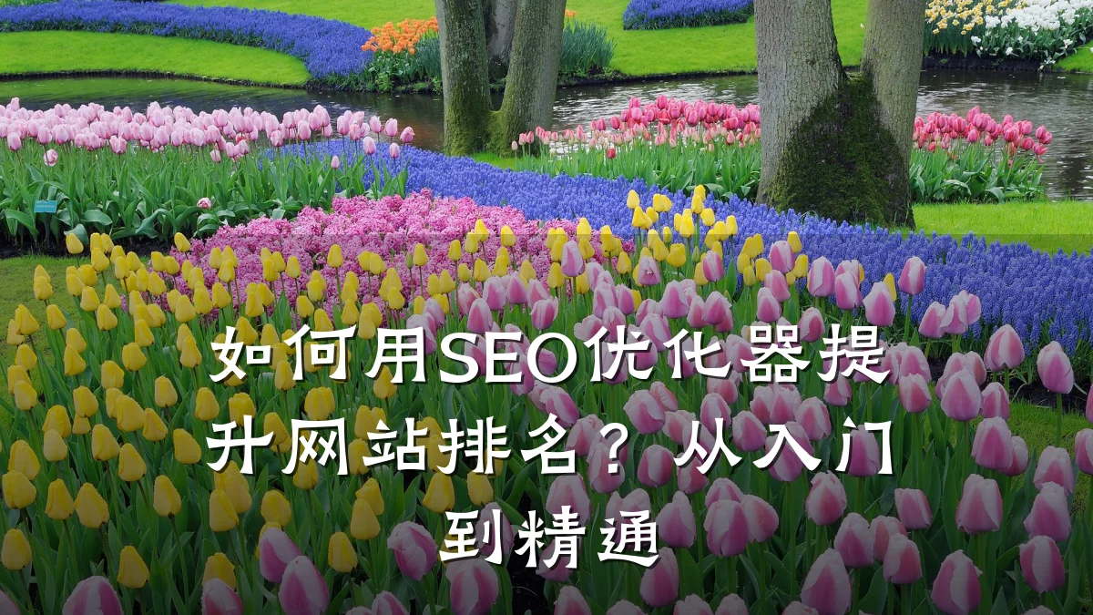 如何用SEO优化器提升网站排名?从入门到精通