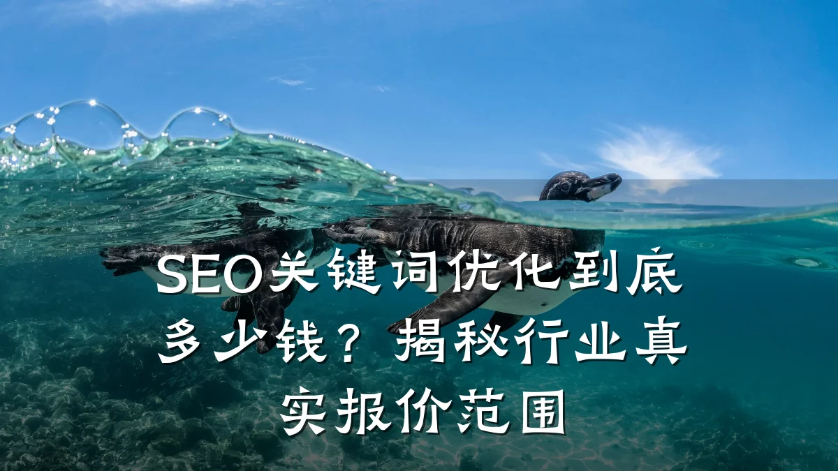 SEO关键词优化到底多少钱?揭秘行业真实报价范围