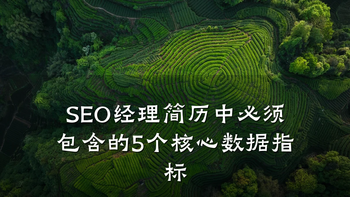 SEO经理简历中必须包含的5个核心数据指标