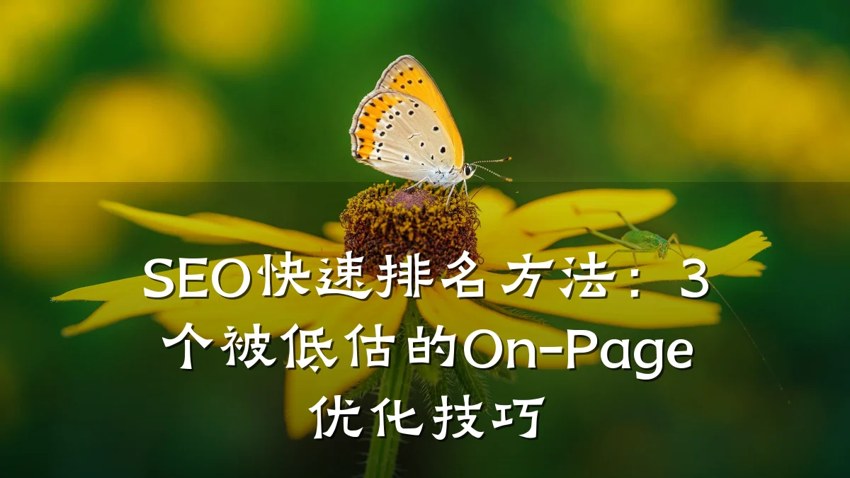SEO快速排名方法:3个被低估的On-Page优化技巧