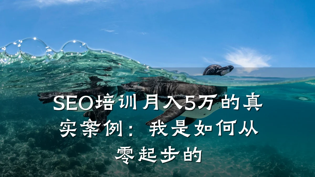 SEO培训月入5万的真实案例:我是如何从零起步的