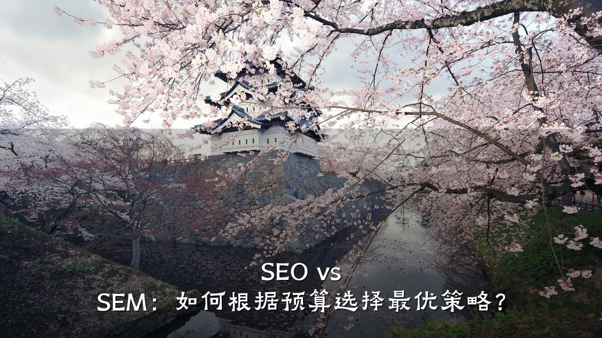 SEO vs SEM:如何根据预算选择最优策略?