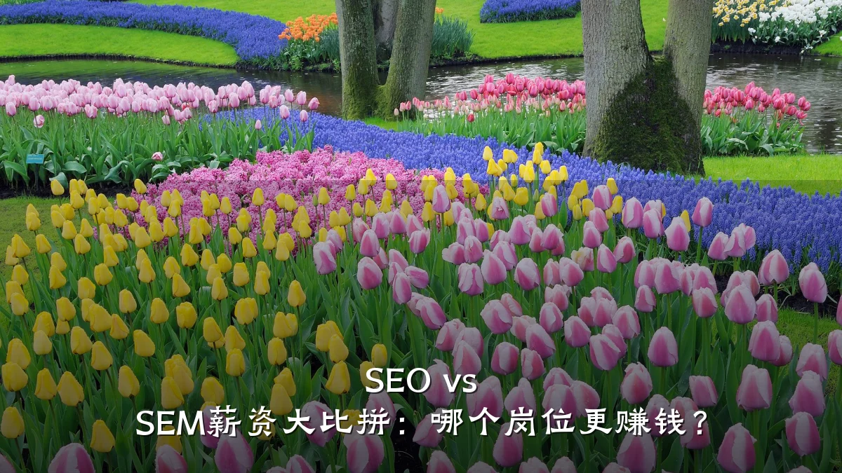 SEO vs SEM薪资大比拼:哪个岗位更赚钱?