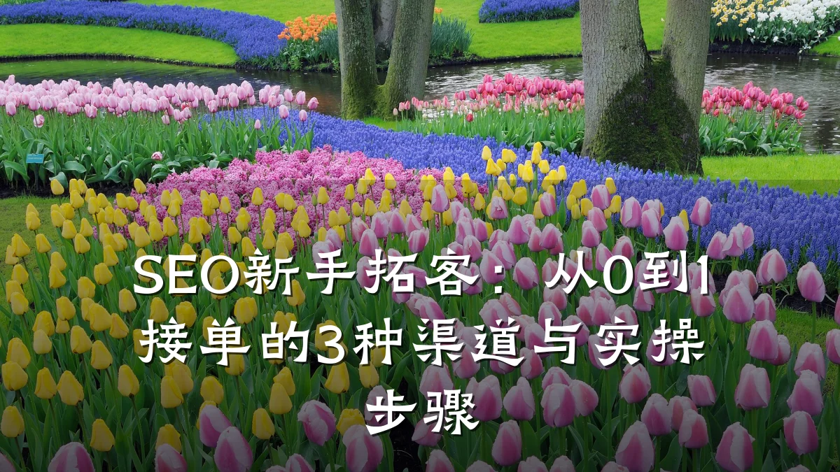 SEO新手拓客:从0到1接单的3种渠道与实操步骤
