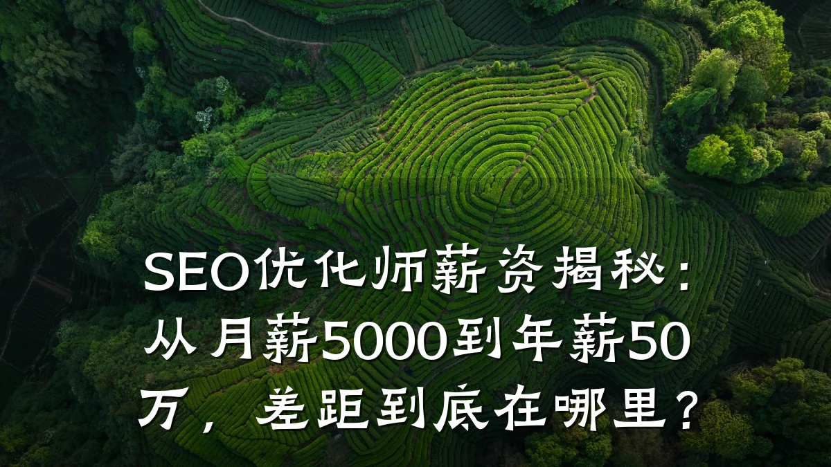 SEO优化师薪资揭秘:从月薪5000到年薪50万,差距到底在哪里?