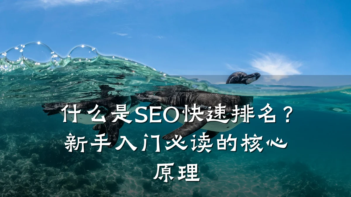 什么是SEO快速排名?新手入门必读的核心原理