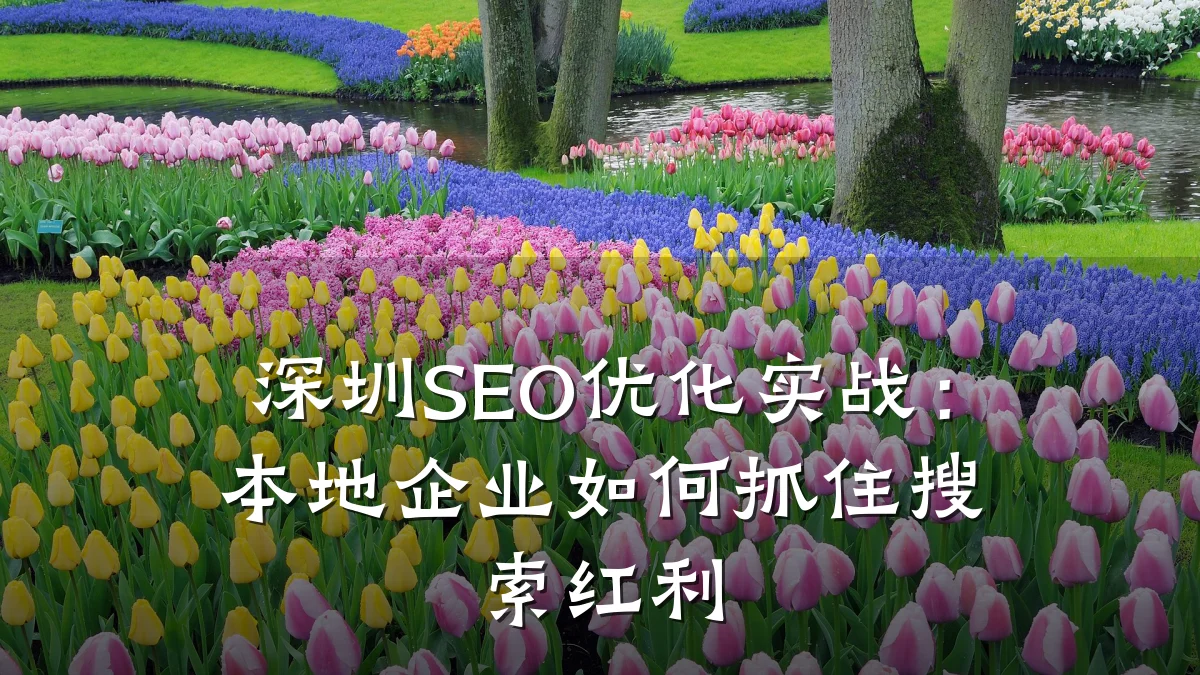 深圳SEO优化实战:本地企业如何抓住搜索红利