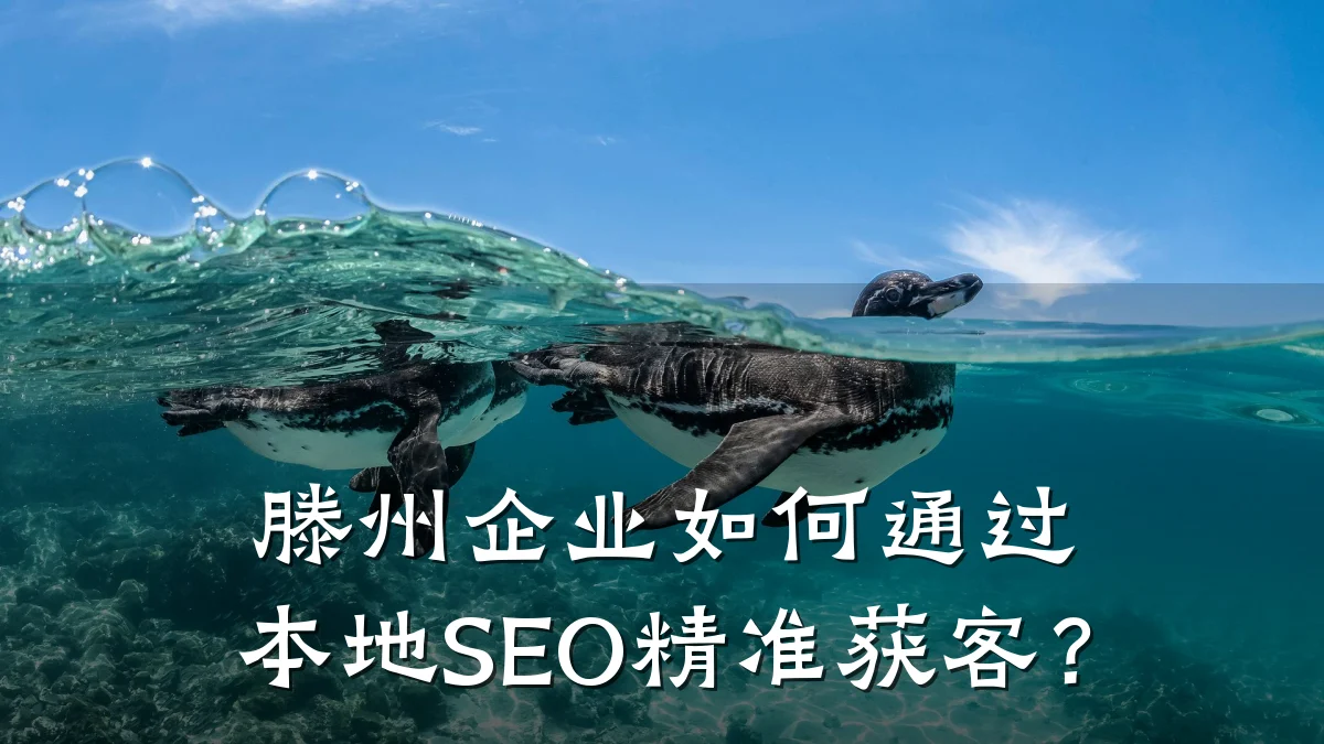 滕州企业如何通过本地SEO精准获客?