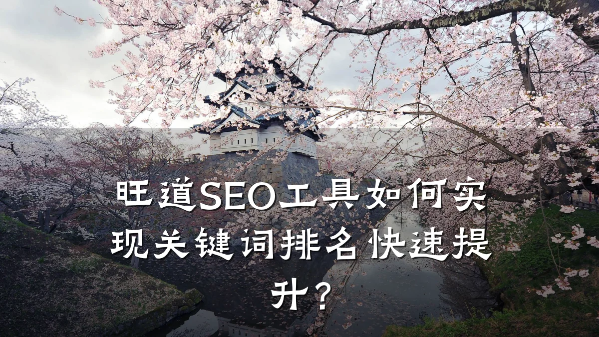 旺道SEO工具如何实现关键词排名快速提升?
