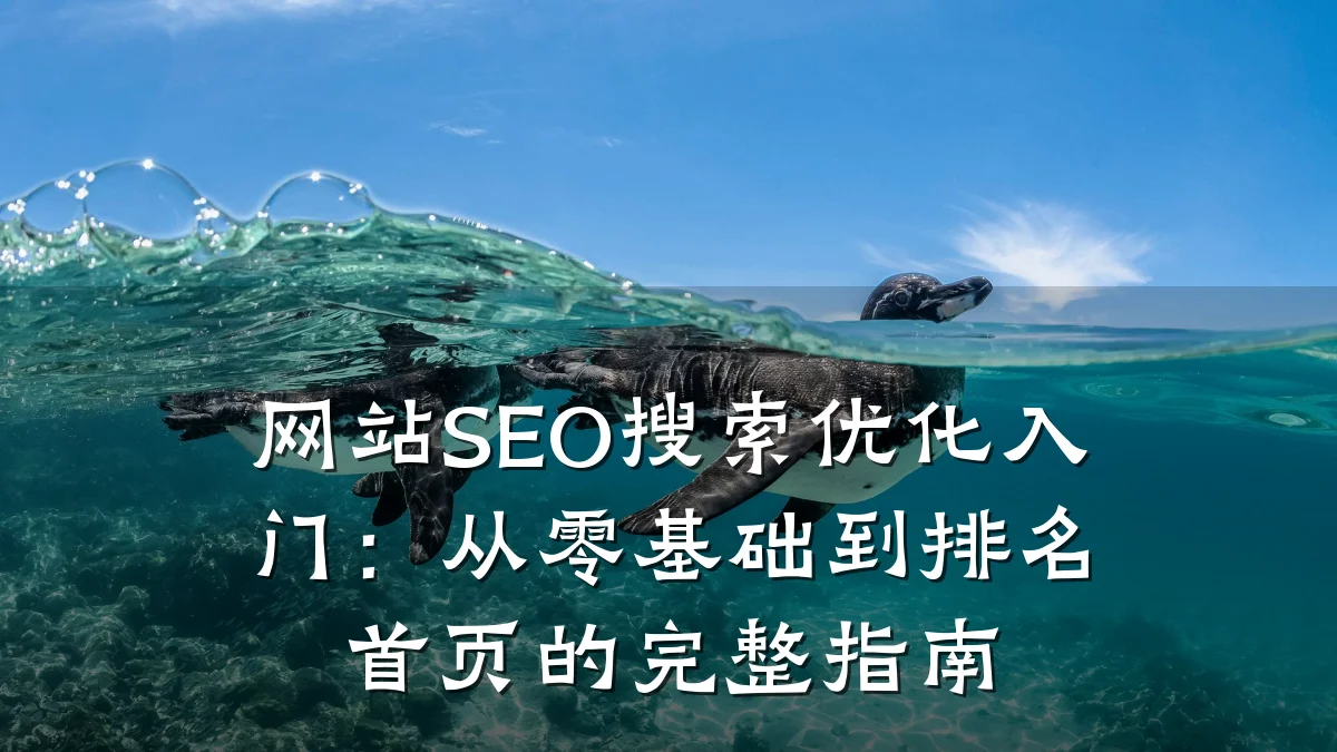 网站SEO搜索优化入门:从零基础到排名首页的完整指南
