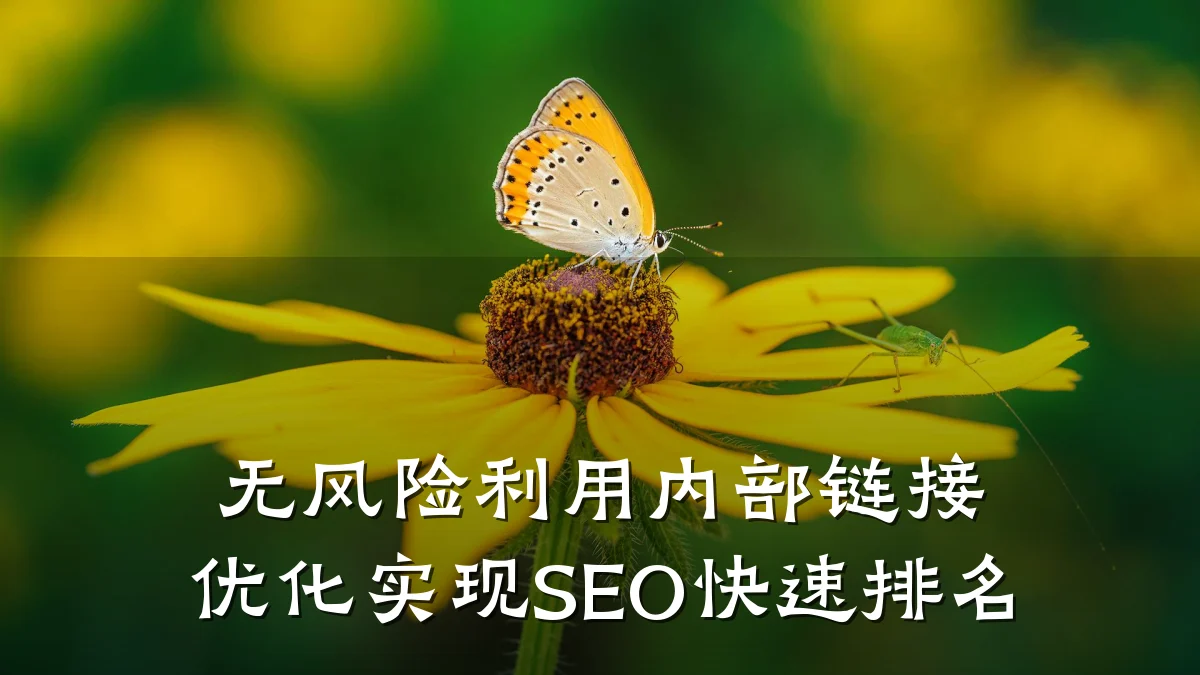 无风险利用内部链接优化实现SEO快速排名