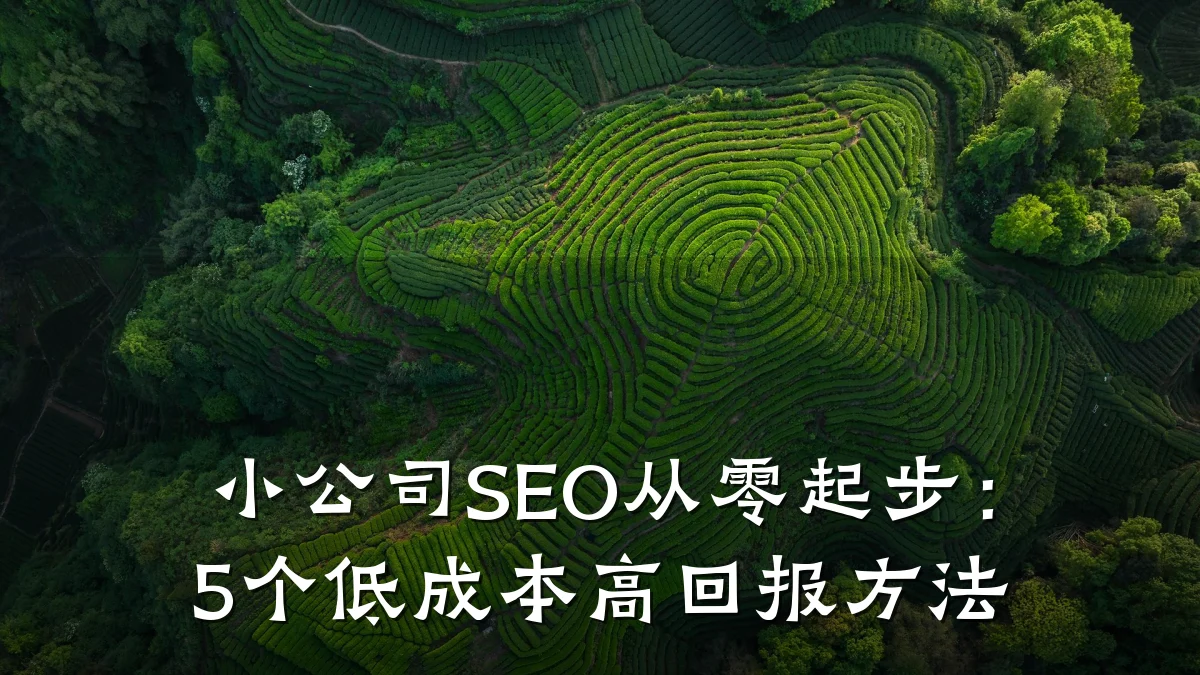 小公司SEO从零起步:5个低成本高回报方法