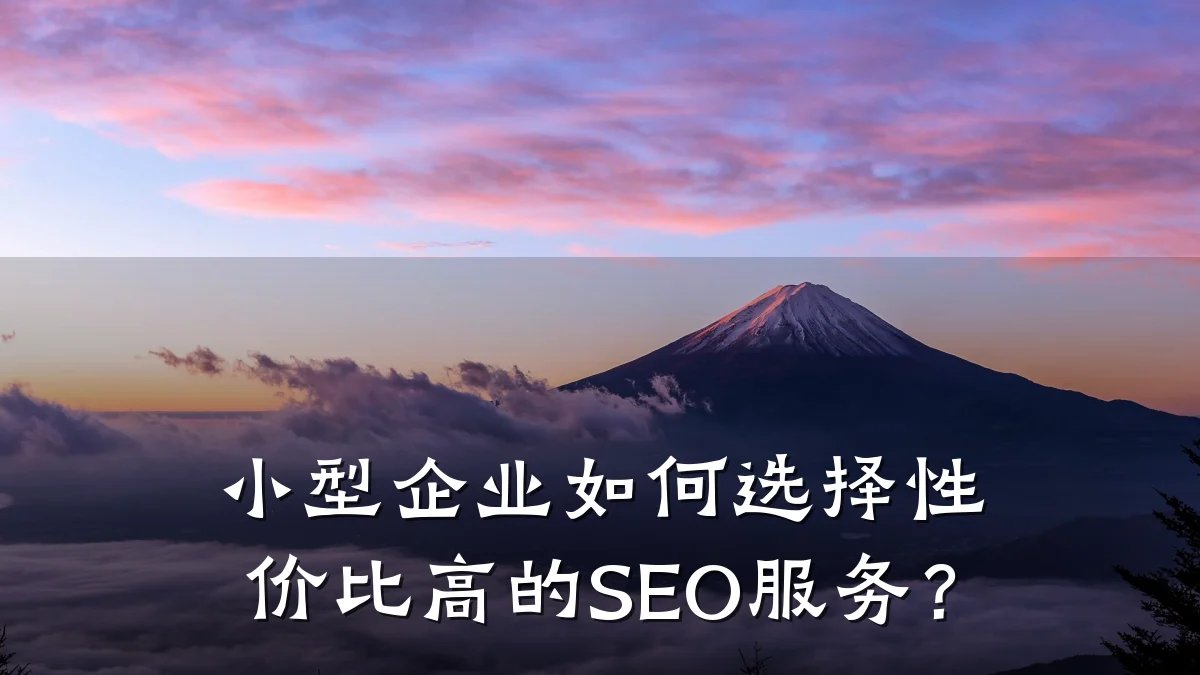 小型企业如何选择性价比高的SEO服务？