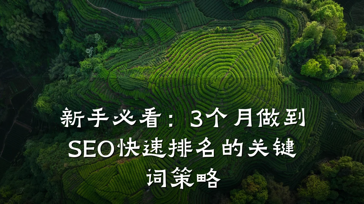 新手必看:3个月做到SEO快速排名的关键词策略