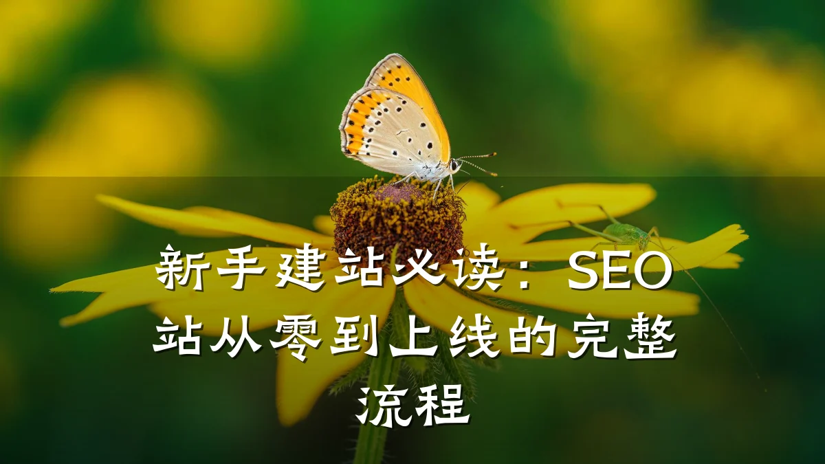 新手建站必读:SEO站从零到上线的完整流程