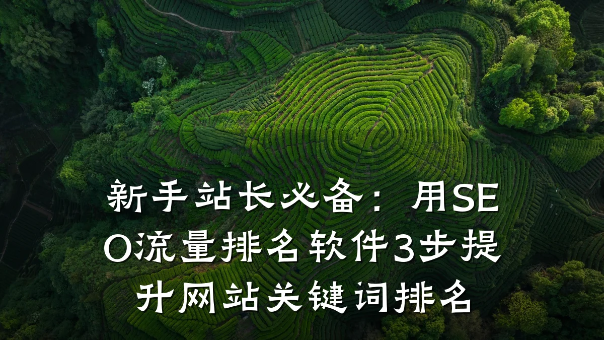 新手站长必备:用SEO流量排名软件3步提升网站关键词排名