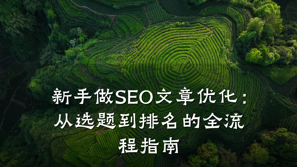 新手做SEO文章优化:从选题到排名的全流程指南