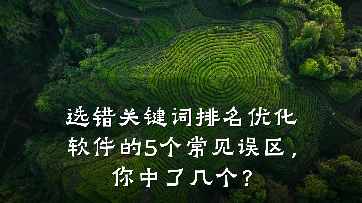 选错关键词排名优化软件的5个常见误区,你中了几个?
