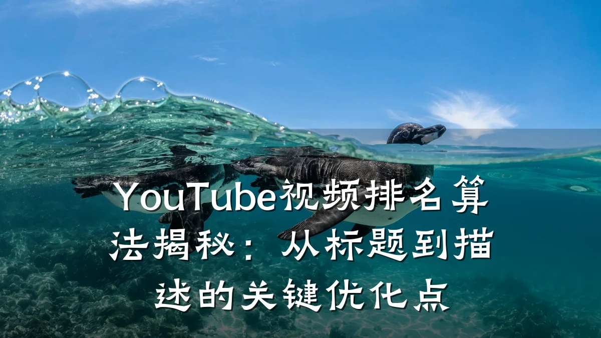 YouTube视频排名算法揭秘:从标题到描述的关键优化点