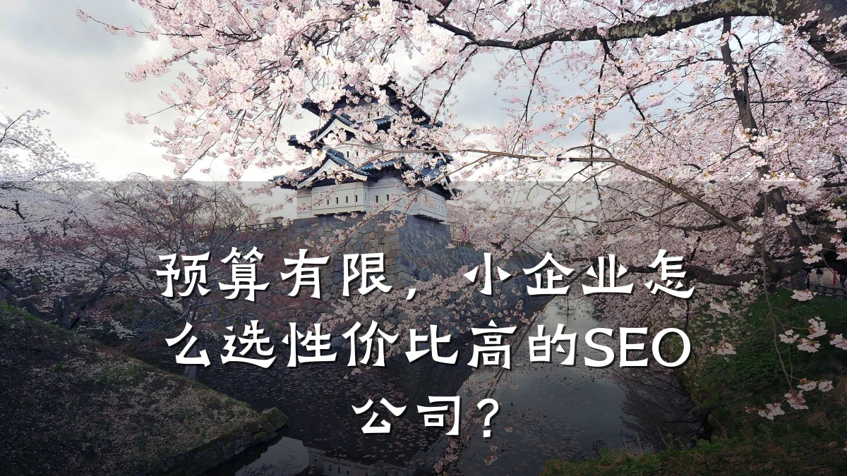 预算有限，小企业怎么选性价比高的SEO公司？