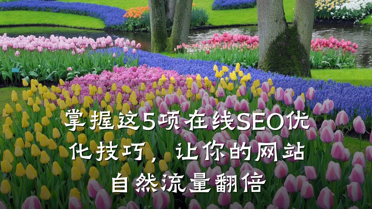 掌握这5项在线SEO优化技巧,让你的网站自然流量翻倍