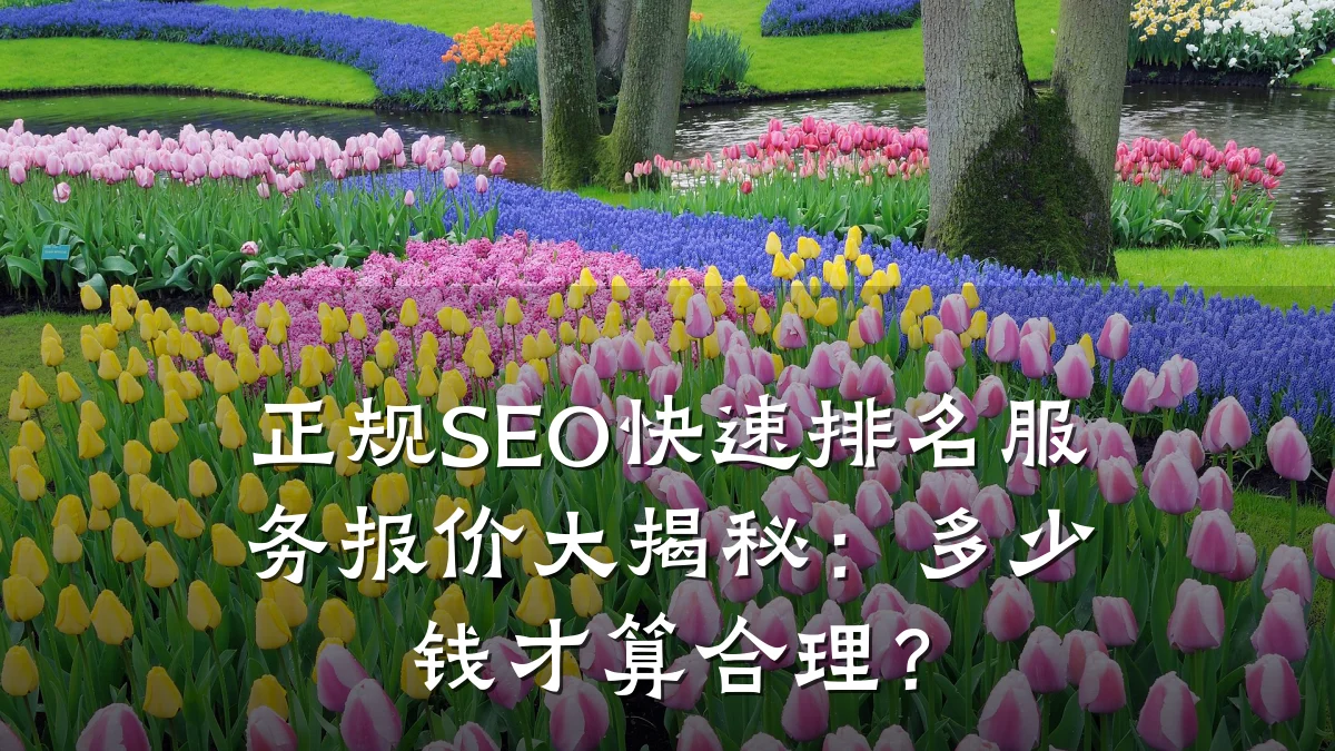 正规SEO快速排名服务报价大揭秘:多少钱才算合理?
