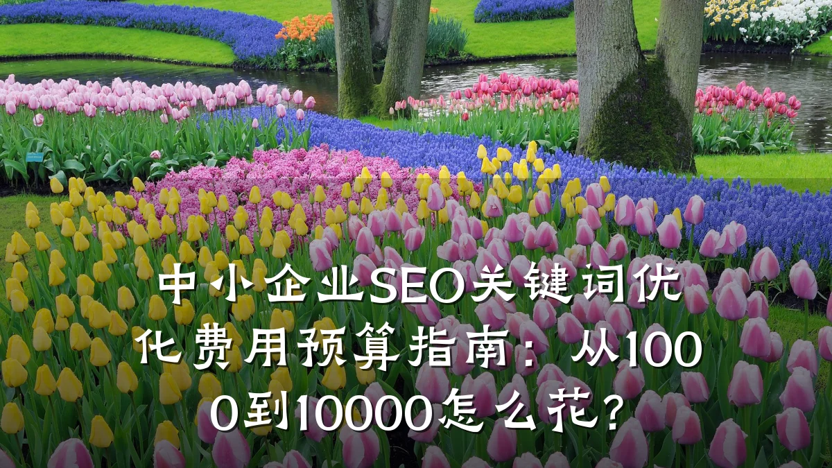 中小企业SEO关键词优化费用预算指南:从1000到10000怎么花?