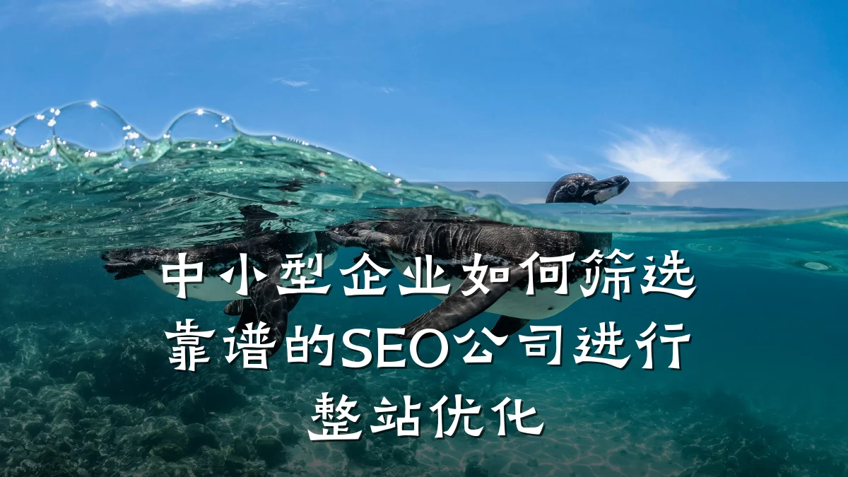 中小型企业如何筛选靠谱的SEO公司进行整站优化