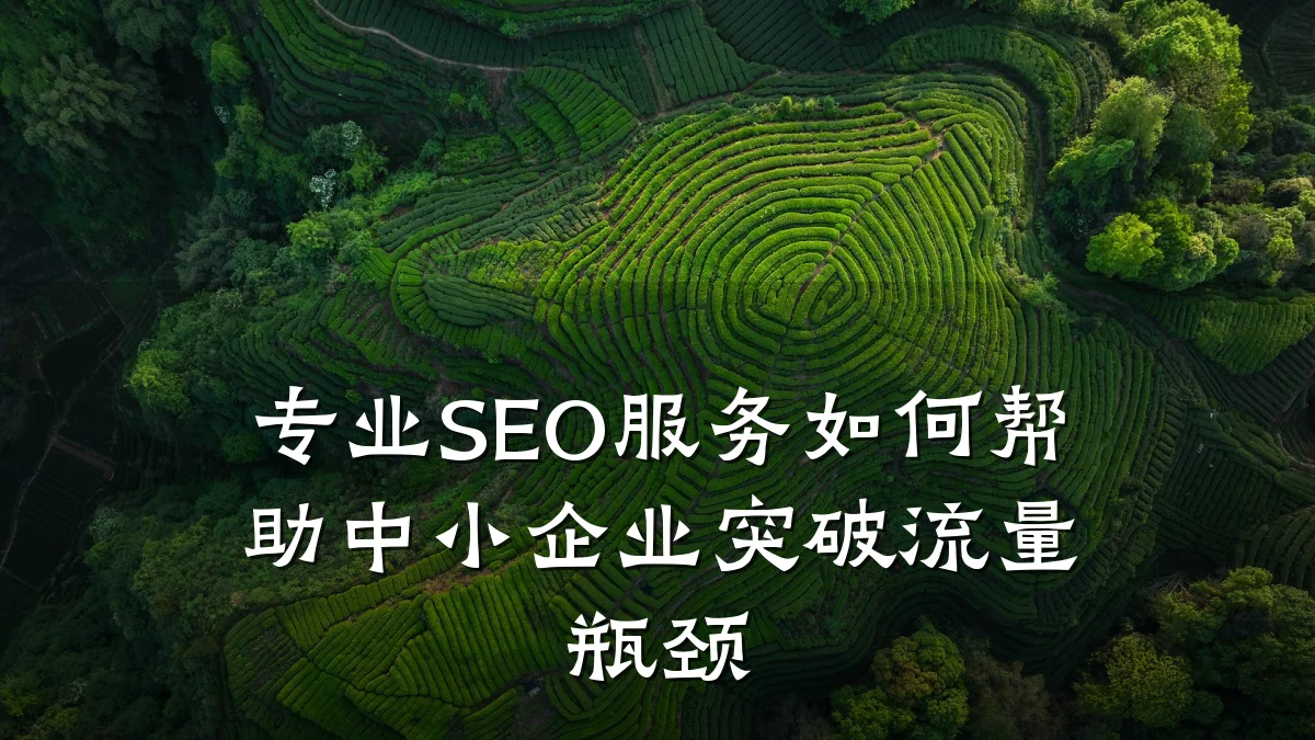 专业SEO服务如何帮助中小企业突破流量瓶颈