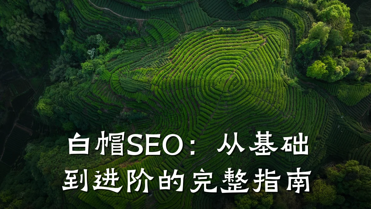 白帽SEO：从基础到进阶的完整指南