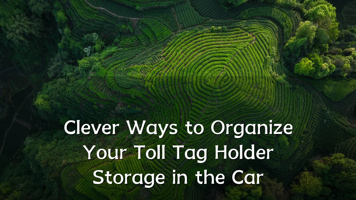 Clever Ways to Organize Your Toll Tag Holder Storage in the Car