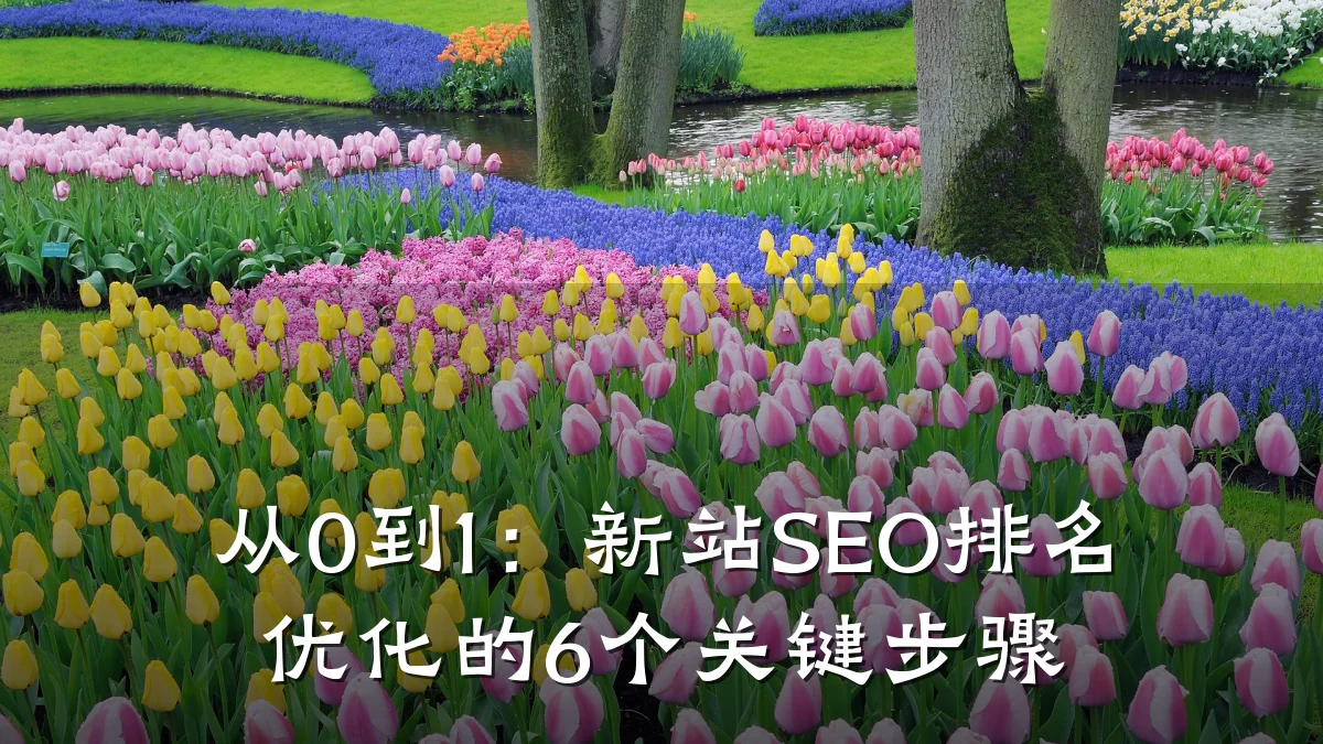 从0到1:新站SEO排名优化的6个关键步骤