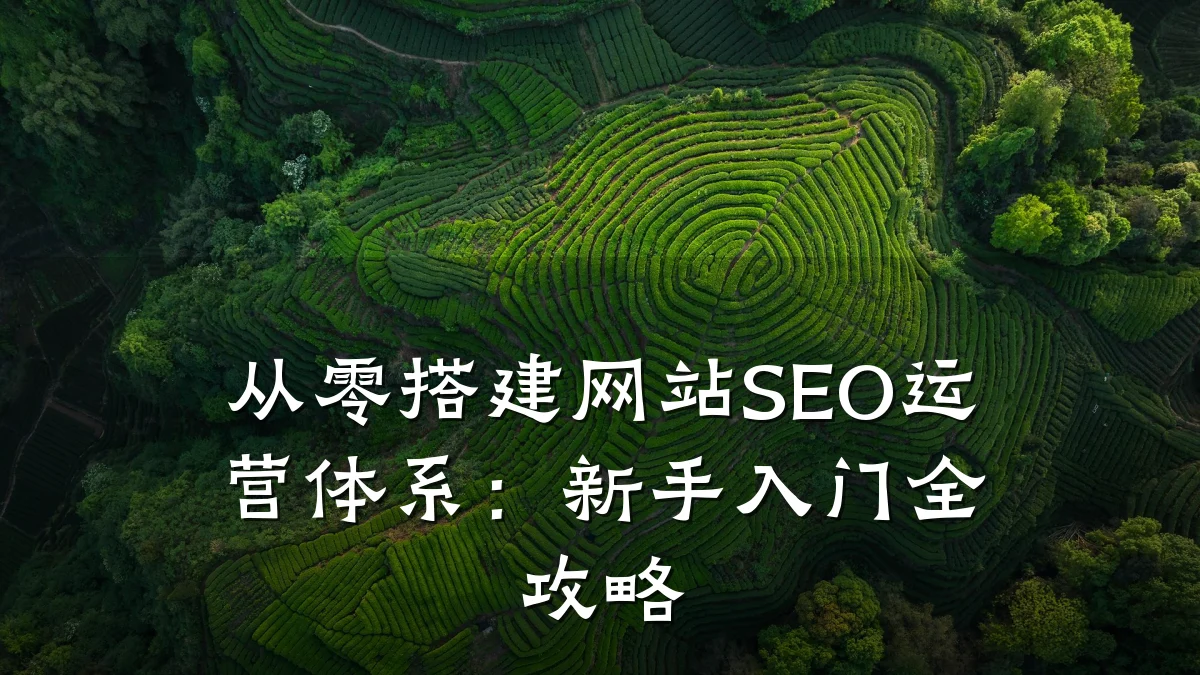 从零搭建网站SEO运营体系:新手入门全攻略