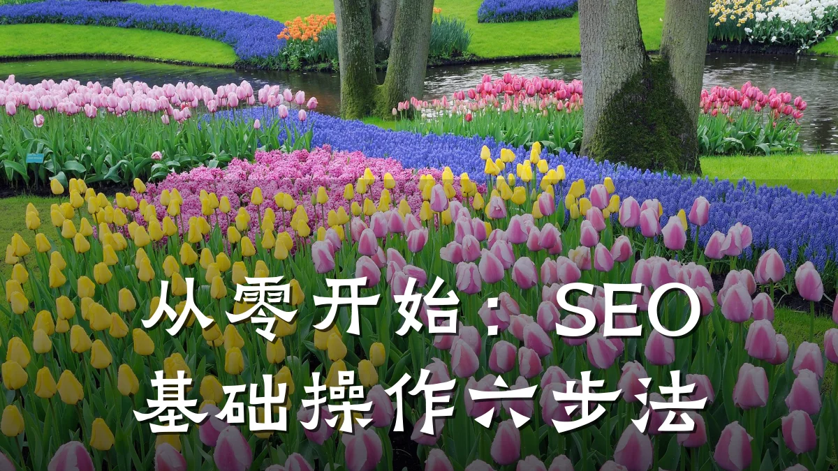 从零开始:SEO 基础操作六步法