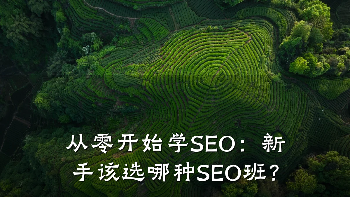 从零开始学SEO:新手该选哪种SEO班?
