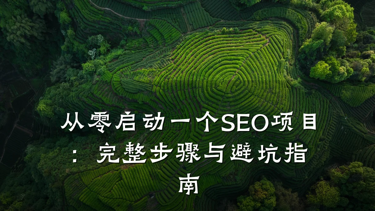 从零启动一个SEO项目:完整步骤与避坑指南