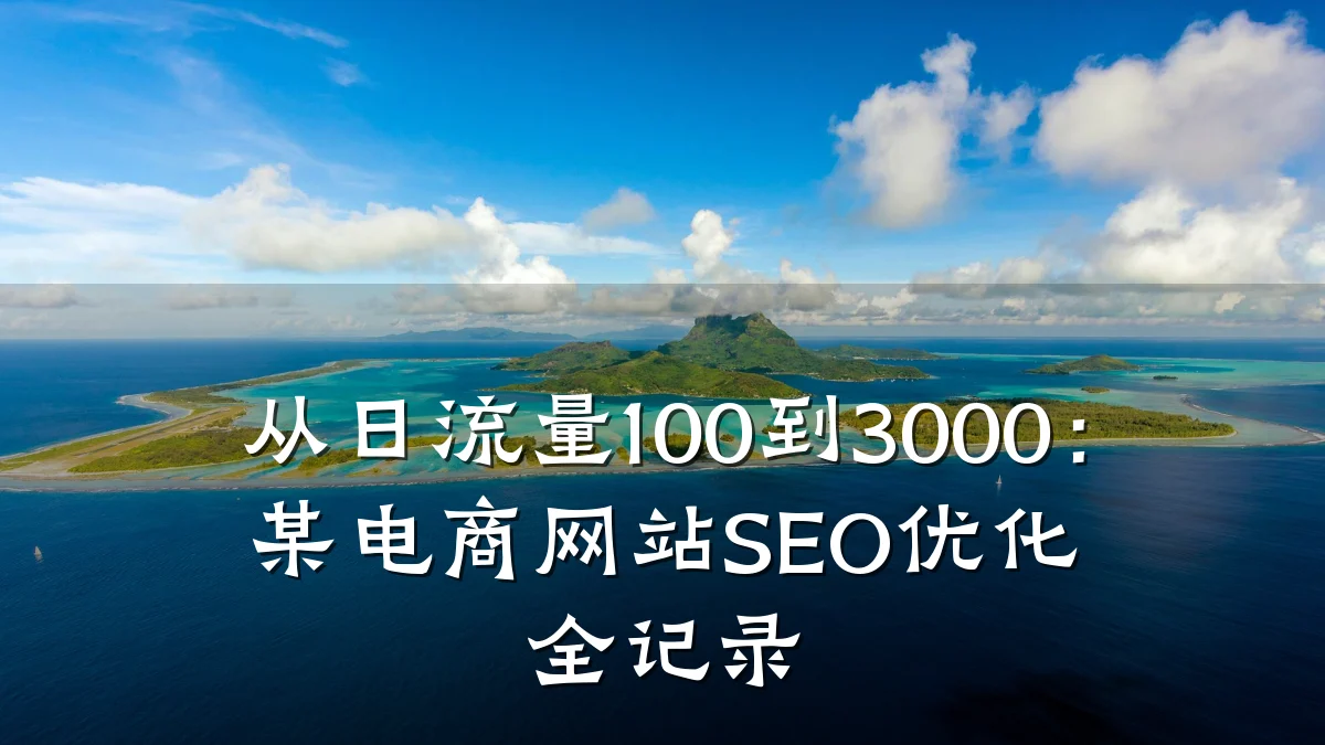 从日流量100到3000：某电商网站SEO优化全记录