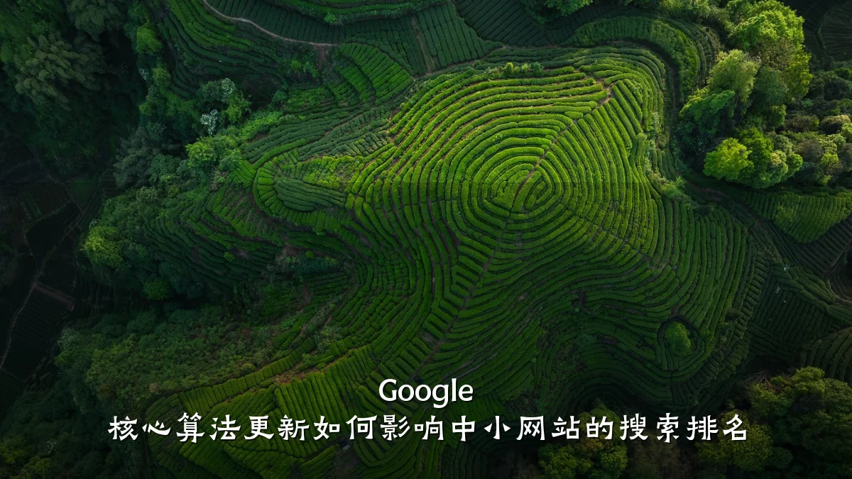 Google 核心算法更新如何影响中小网站的搜索排名
