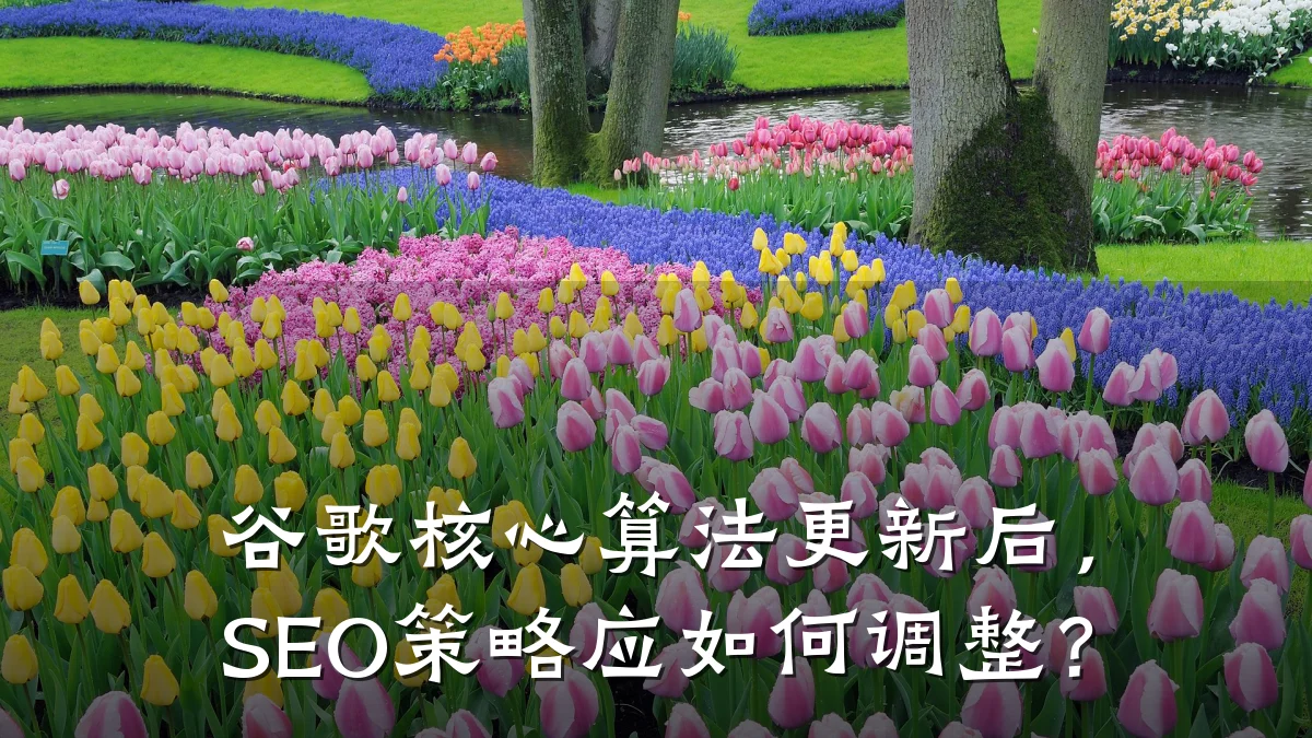 谷歌核心算法更新后,SEO策略应如何调整?