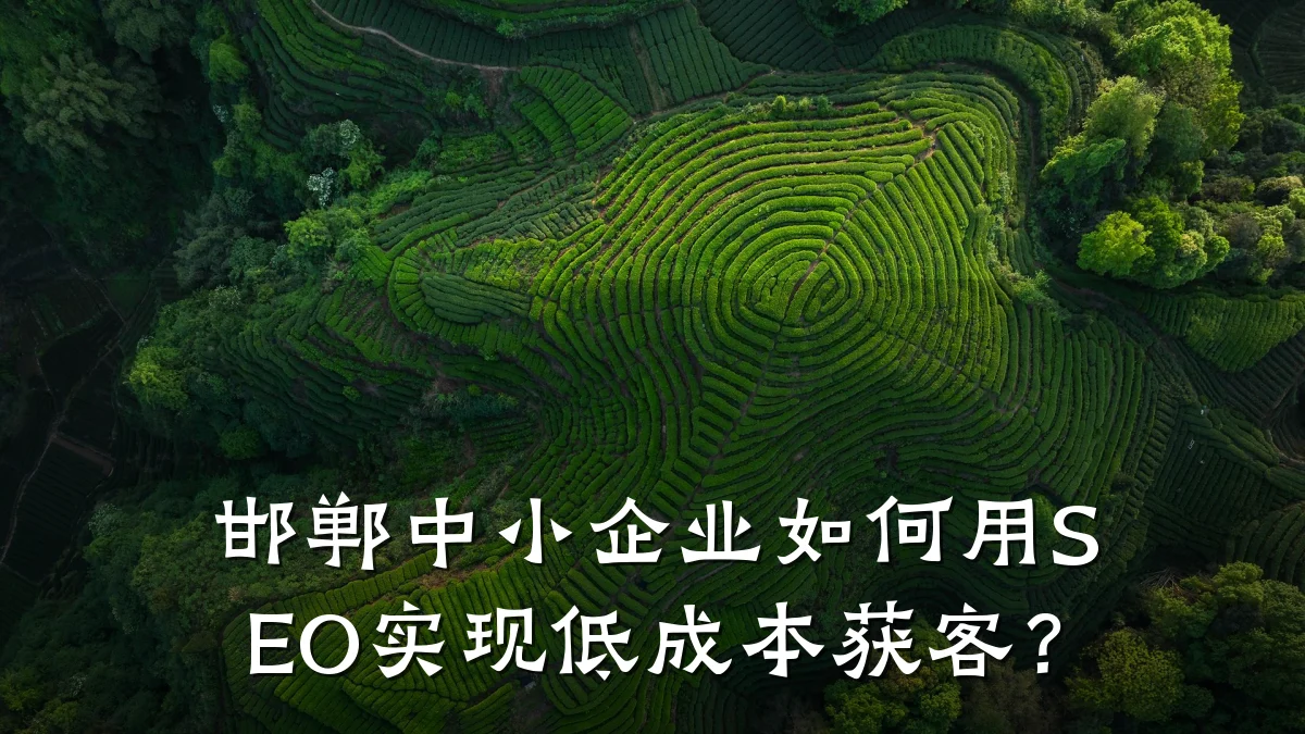 邯郸中小企业如何用SEO实现低成本获客？