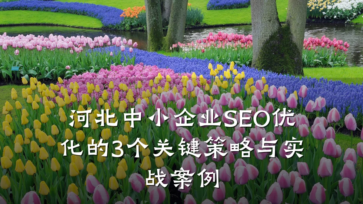 河北中小企业SEO优化的3个关键策略与实战案例