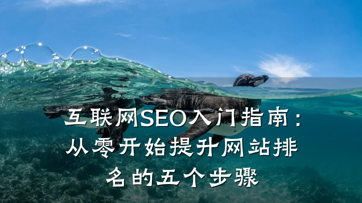 互联网SEO入门指南:从零开始提升网站排名的五个步骤