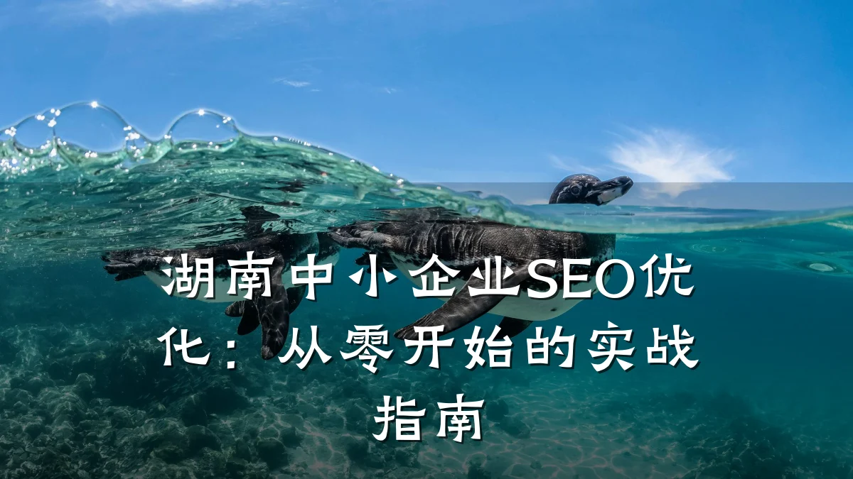 湖南中小企业SEO优化:从零开始的实战指南