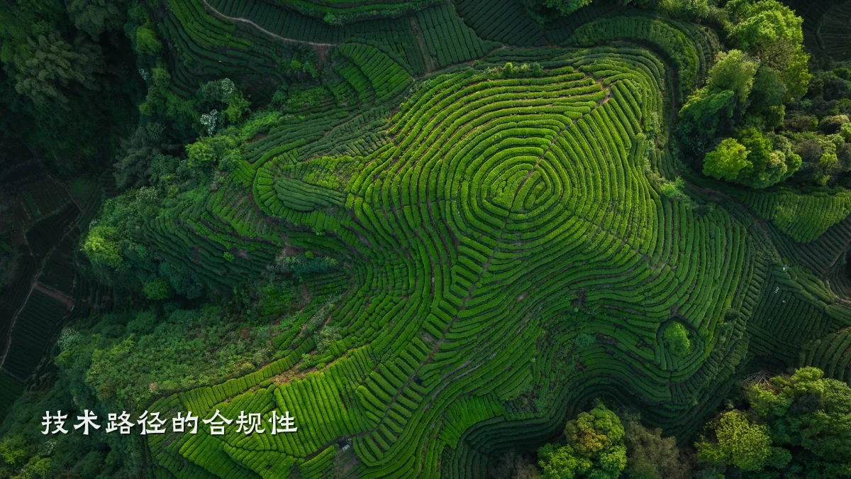 技术路径的合规性