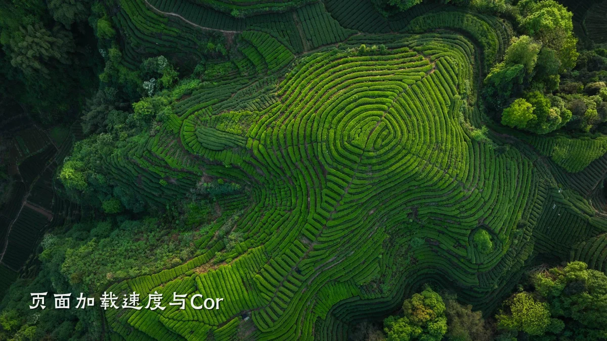 页面加载速度与Cor