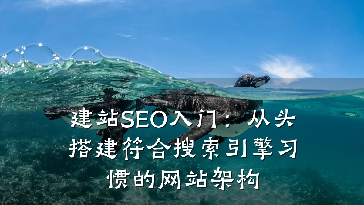 建站SEO入门:从头搭建符合搜索引擎习惯的网站架构