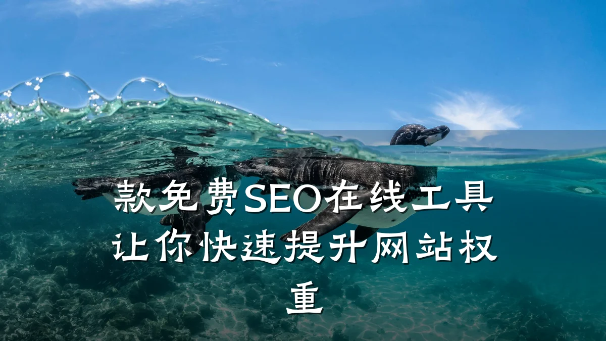 款免费SEO在线工具让你快速提升网站权重
