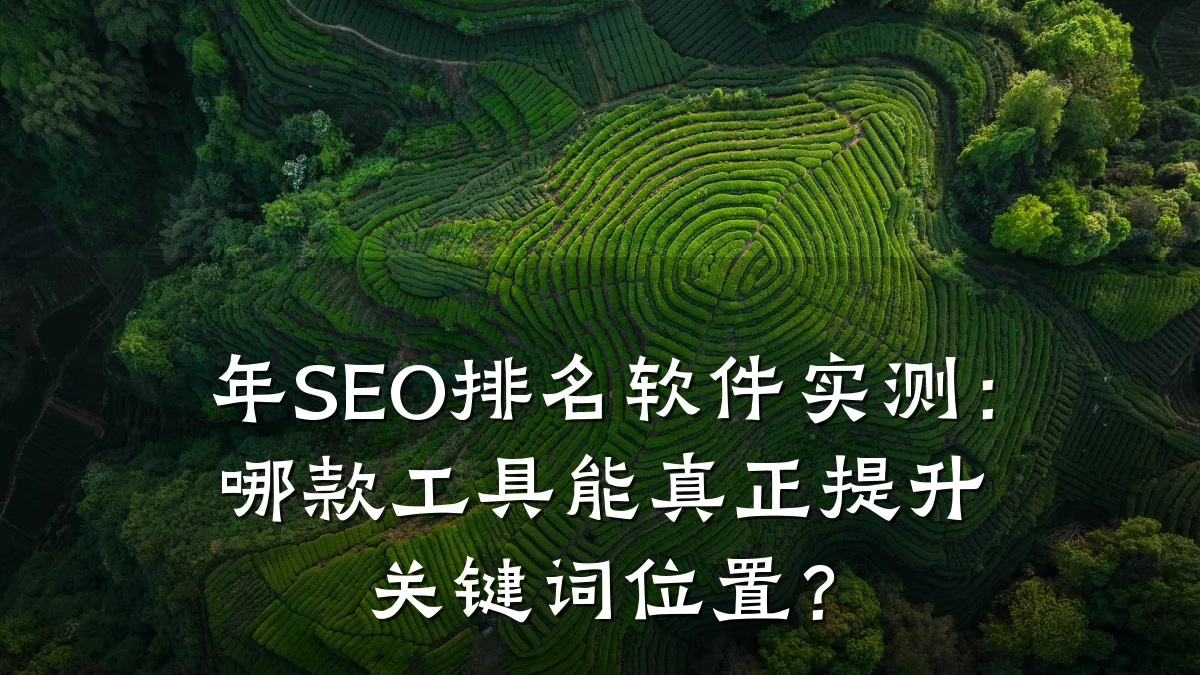 年SEO排名软件实测：哪款工具能真正提升关键词位置？